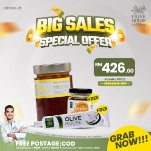 OLIVIE POWER UP MEGA