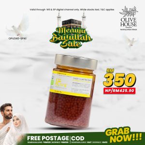 MENUJU BAITULLAH (E)