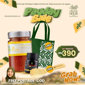 PAYDAY SET D