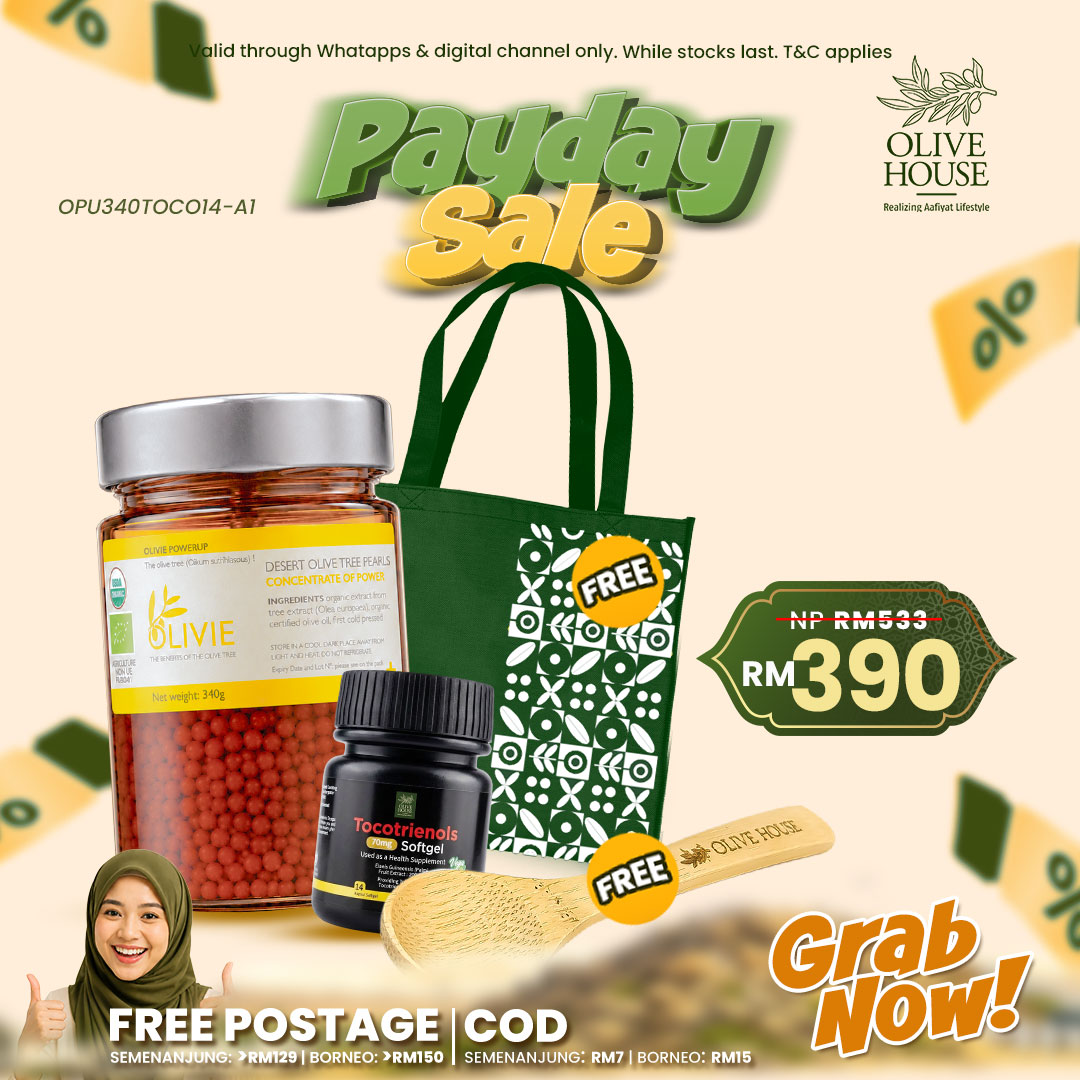 PAYDAY SET D