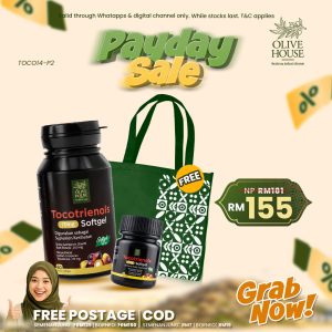 PAYDAY SET A